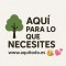 Aqui para lo que necesites.